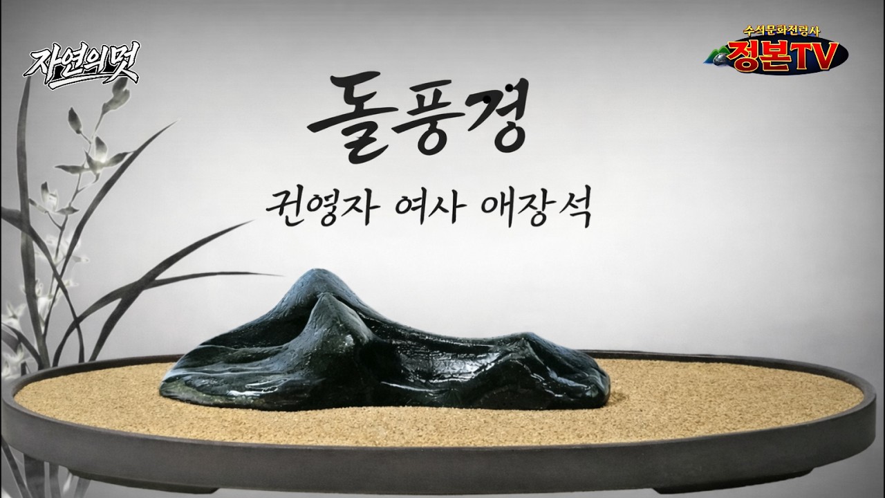 754. 돌 풍경 권영자 여사 애장석 #rock #stone #art #nature #수석 #감상