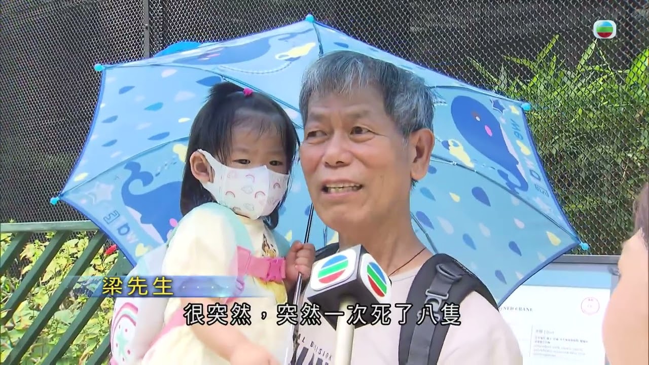 香港無綫｜7:30一小時新聞｜2024年10月14日｜
