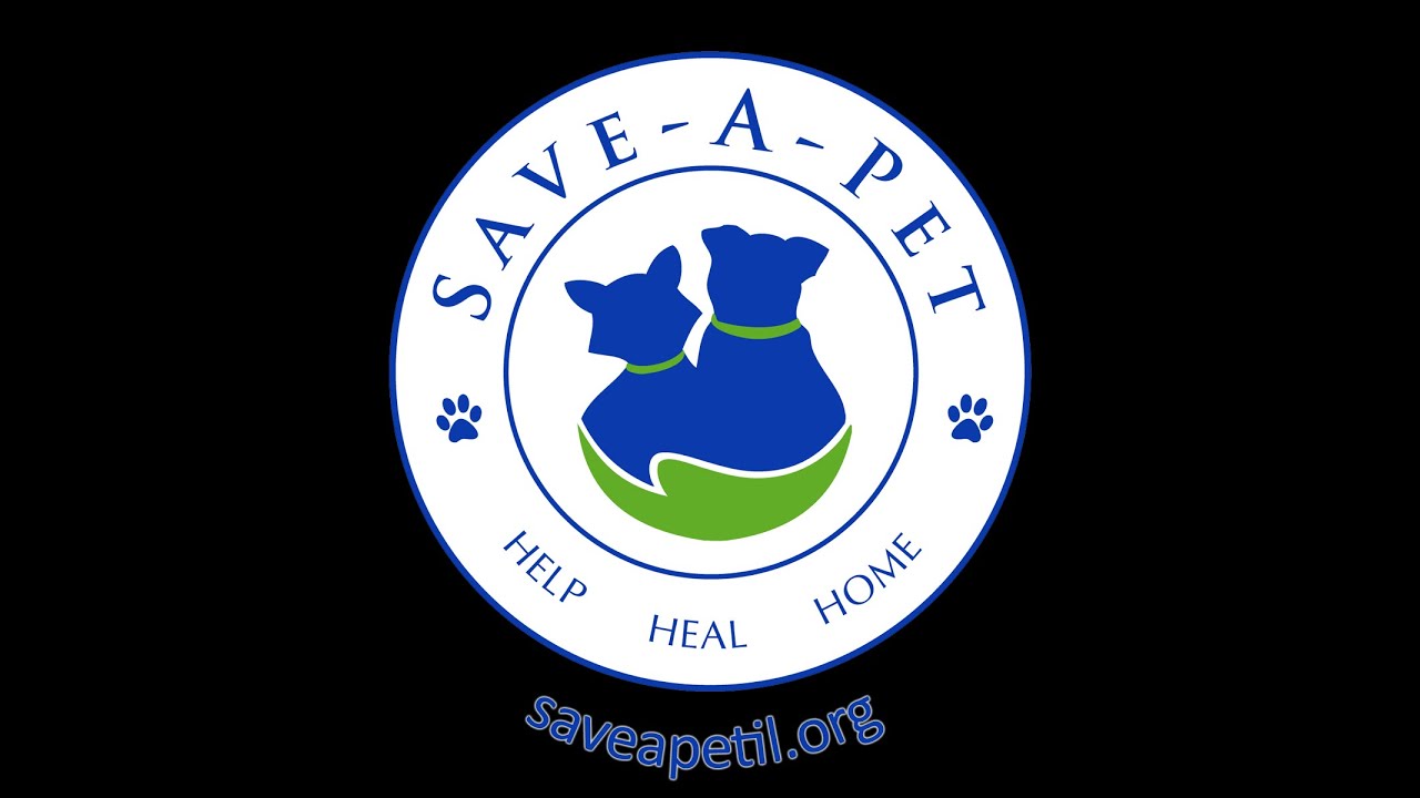 Save-A-Pet About Us Video