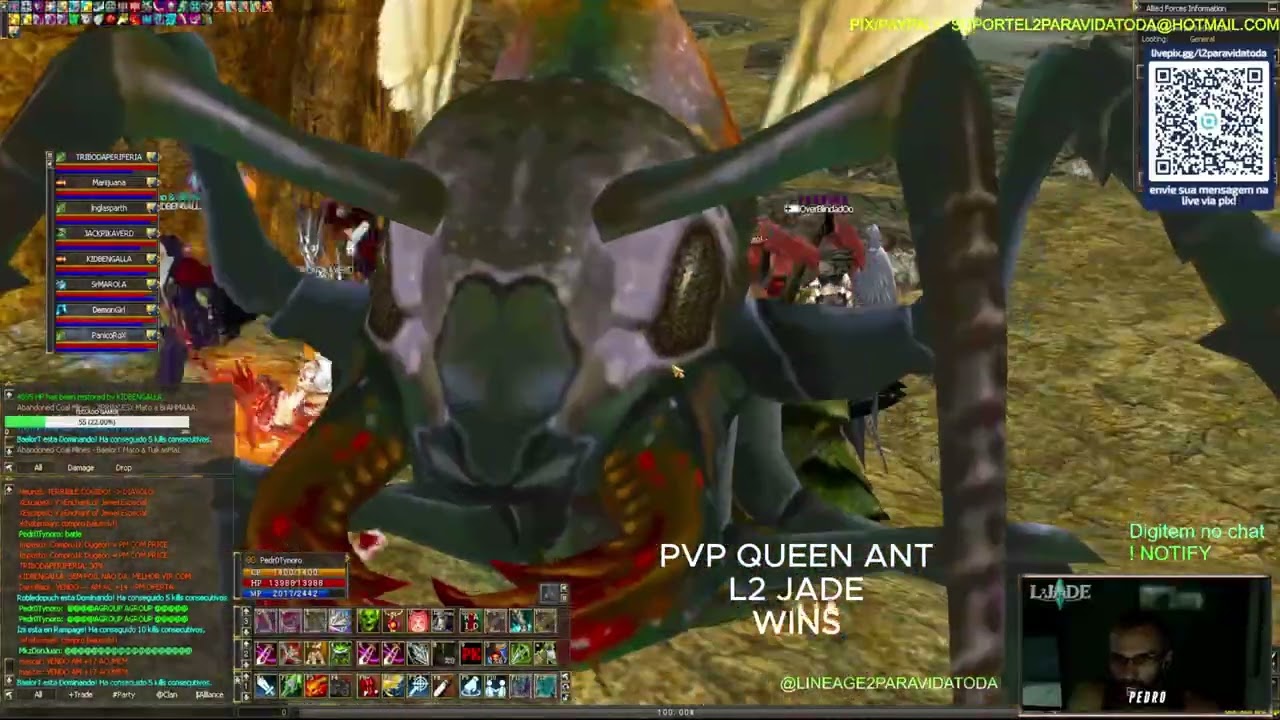 QUEEN ANT L2 JADE - WINS