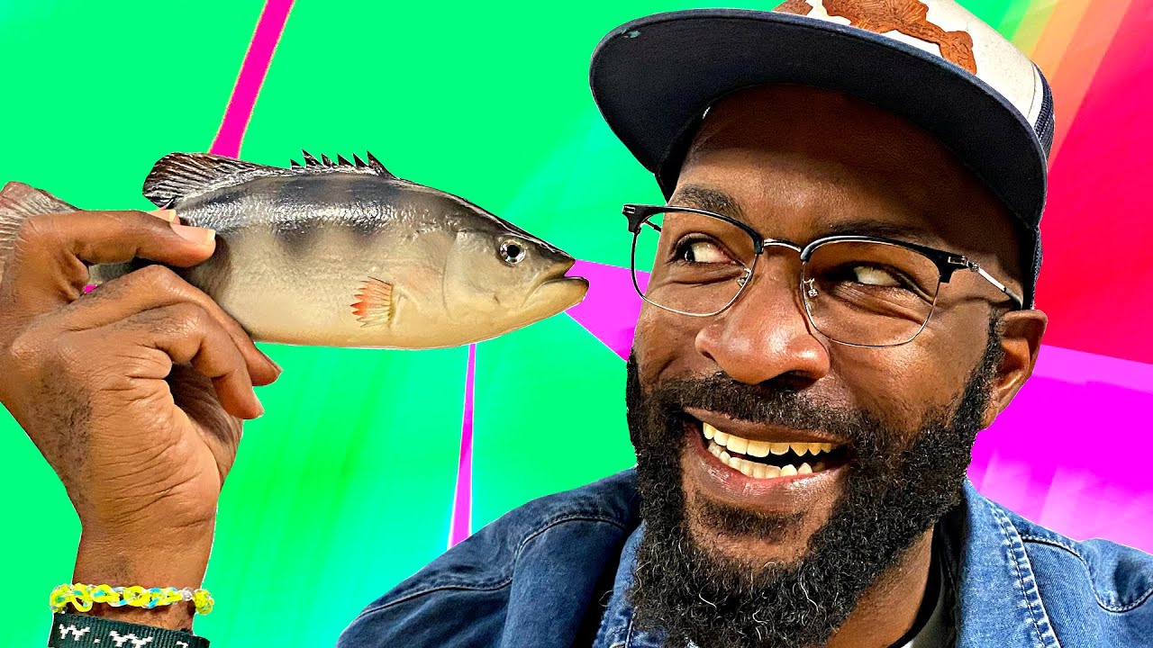 Name That Fish | The Loop Show