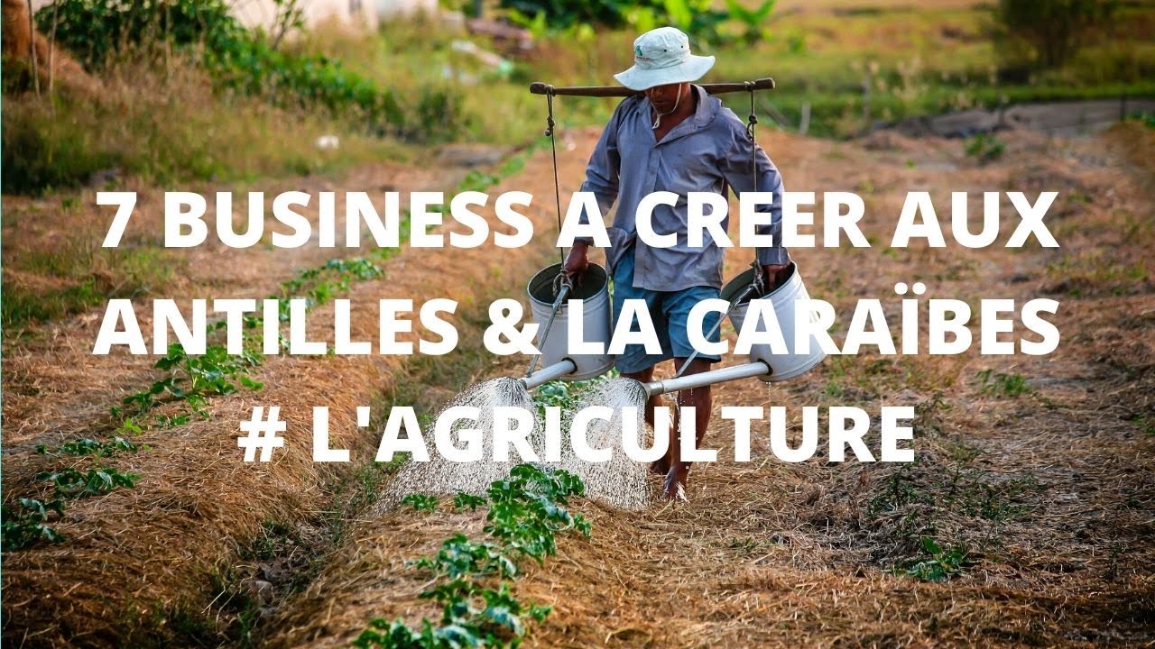 7 Business &agrave; cr&eacute;er aux Antilles et  dans la Cara&iuml;bes # l' Agriculture