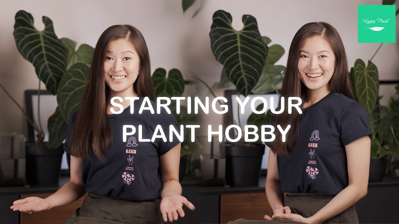 Starting Your Plant Hobby