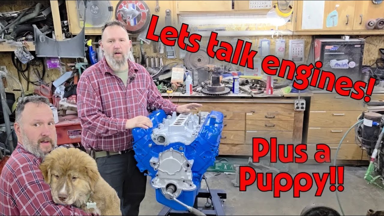 A big puppy visits and I dive into the 351 (5.8) for Bucky the 1990 Ford Bronco