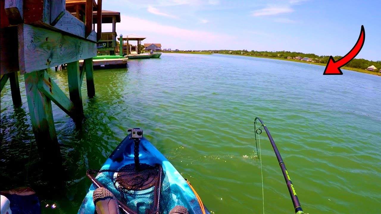 i FINALLY caught this fish 🙌 (Grand Strand Fishing)