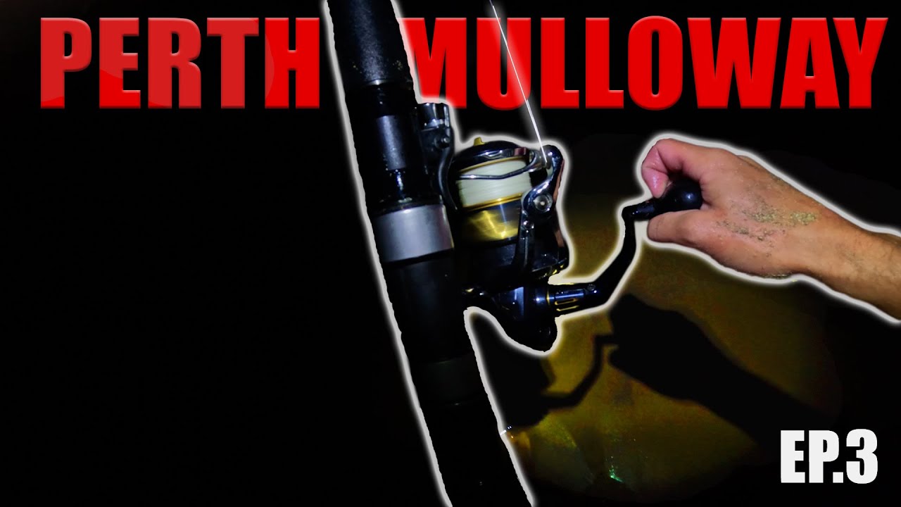 Was FRESH Bait All We NEEDED?! - EP. 3 Mulloway From A Beach In Perth