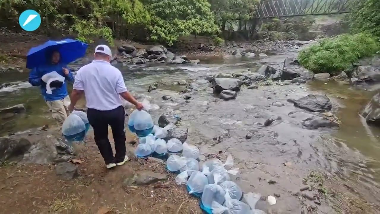 Así fue la multiplicación de los peces en el río Cali | El País Cali