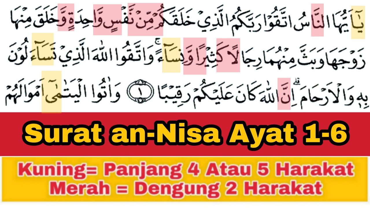 Tadarus Surat an-Nisa Ayat 1-6, Ada Warna Tanda Panjang & Dengung Agar Lancar Baca al-Quran