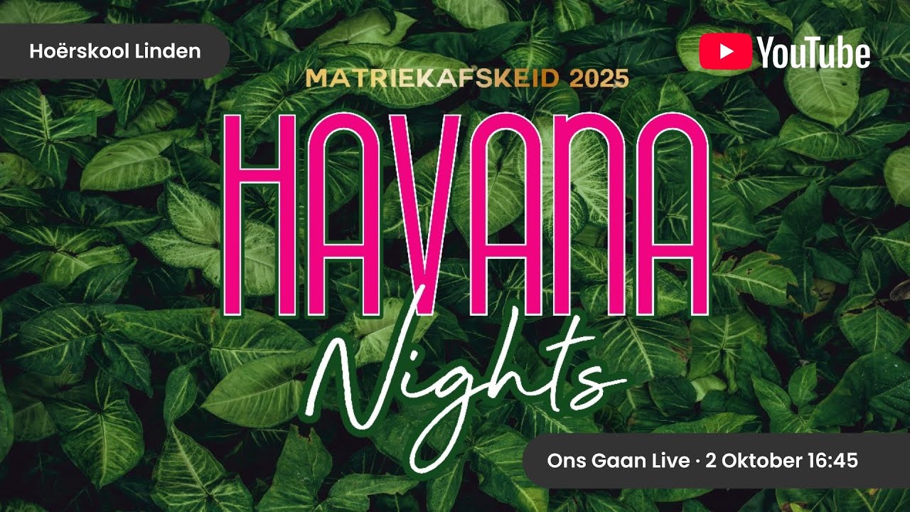 Havana Nights