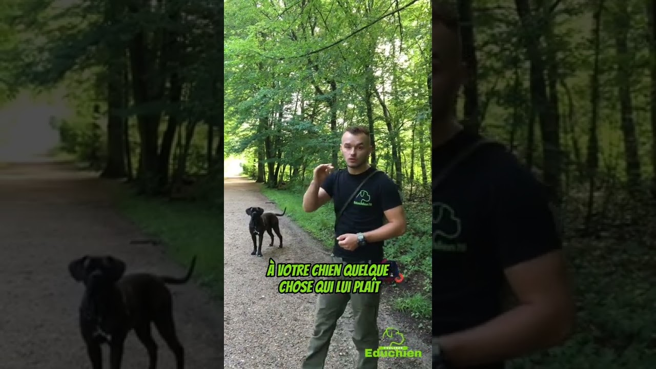 Il est important de varier les r&eacute;compenses - Alexis Bonnarang, &eacute;ducateur canin comportementaliste
