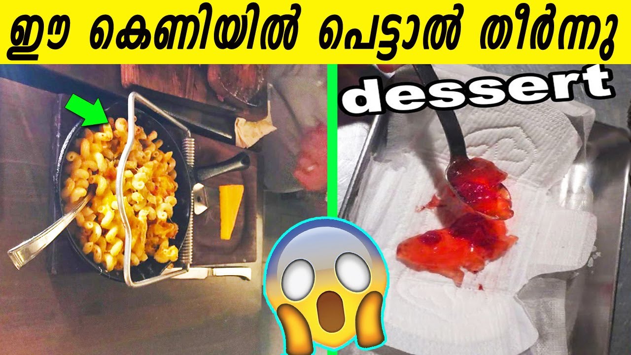 ഇത് വല്ലാത്ത കടന്ന കൈയ്യായി പോയല്ലോ |എലിപ്പെട്ടിയിൽ വിളമ്പിയ ഫുഡ് മുതൽ ഷൂവിനകത്തെ ഫ്രൈഡ് റോൾസ് വരെ