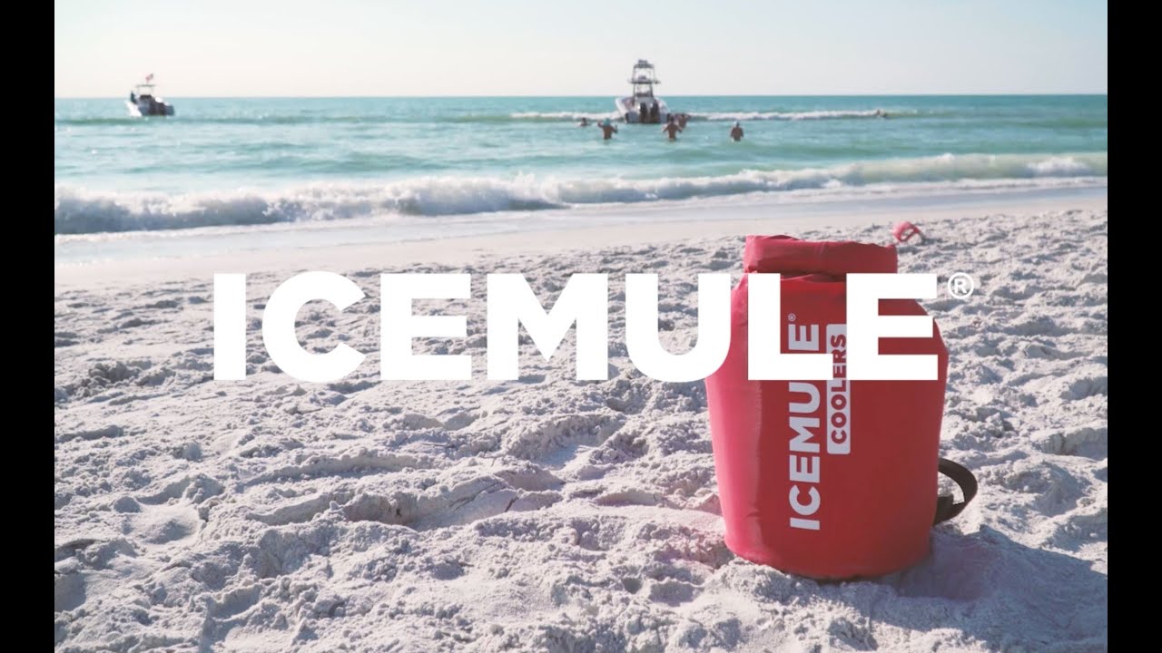 ICEMULE Brand Video