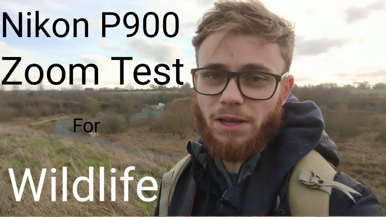 Nikon P900 Zoom Test For Wildlife Photography - vs Canon 7Dmk ii 100-400mm