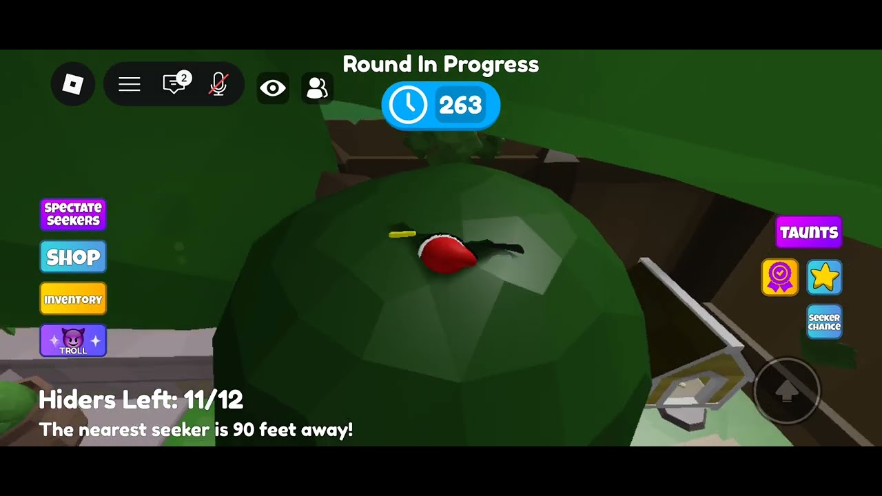 Playing MEGA HIDE AND SEEK