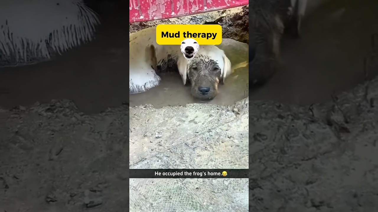 Mud Therapy! 