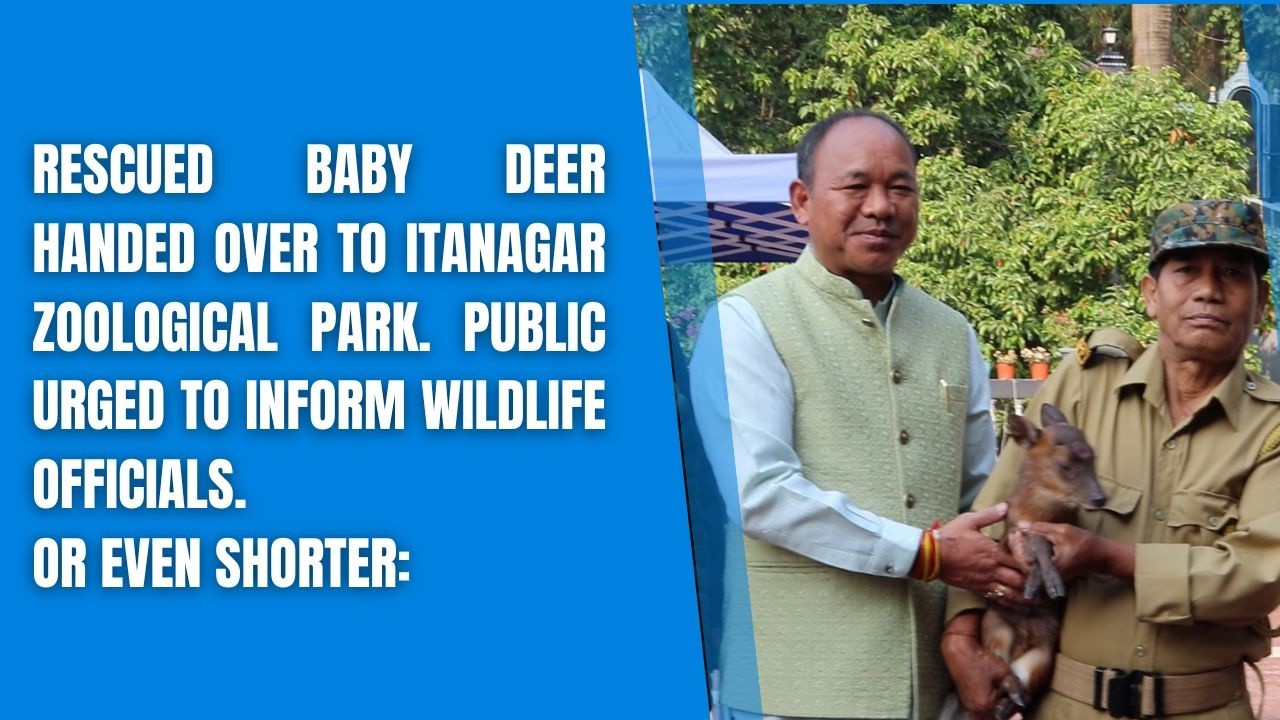 Rescued Baby Deer Handed Over to Itanagar Zoological Park