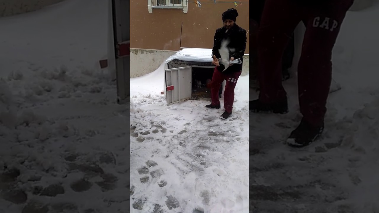 Suluntepe seferli kuslar