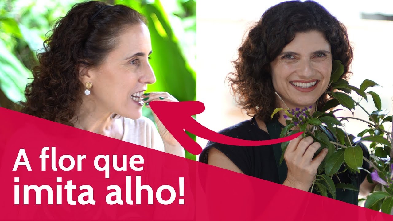 A Flor com Gosto de Alho! Ótima para Imunidade! (Participação Sabrina Jeha) | Nô Figueiredo