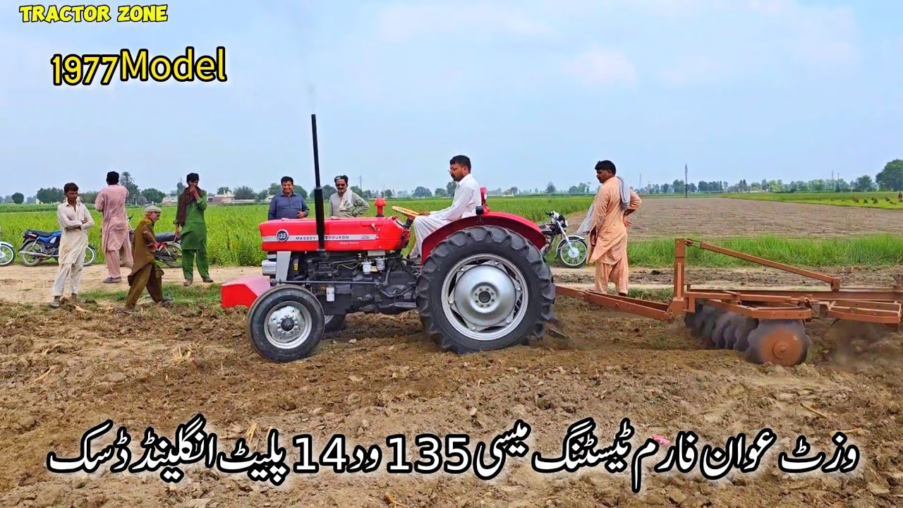 Massey 135 MODEL1977 It is a very beautiful tractor, will test it on 14 plate disks of England