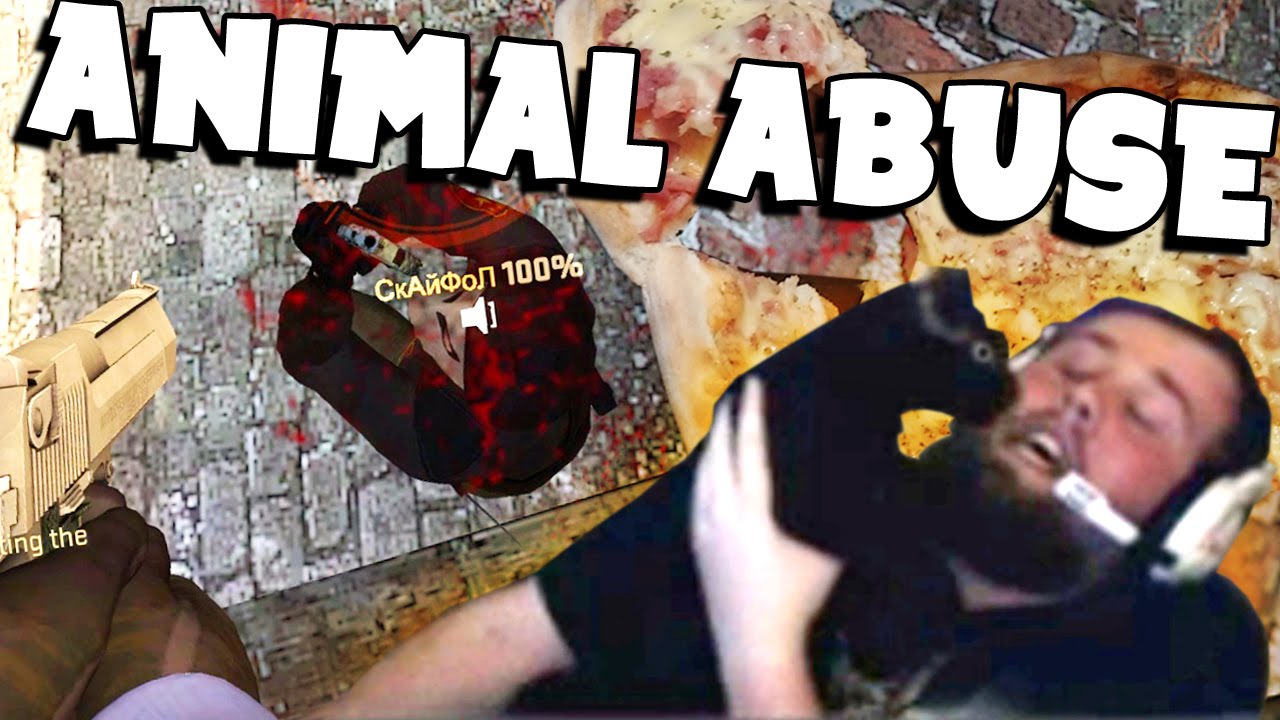 STUPID & FUNNY MOMENTS #12 - Greatest Botmount, Klaas's Cat 360 & MORE!