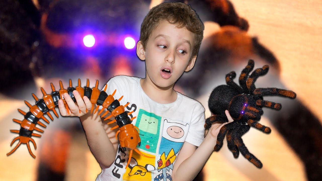 ARANHA vs LACRAIA GIGANTE de Controle Remoto com Paulinho e Toquinho - Crianças Brincando