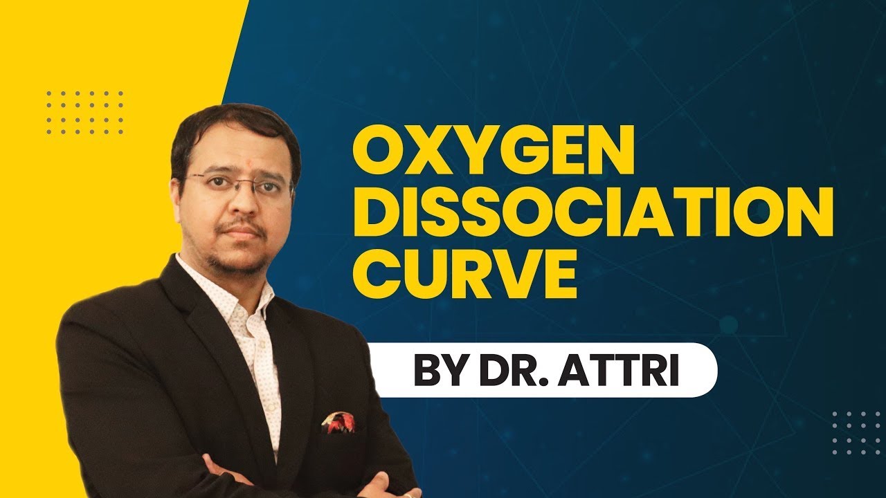 Oxygen Dissociation Curve - Breathing and Exchange of Gases | Class 11 Biology | Be Personified