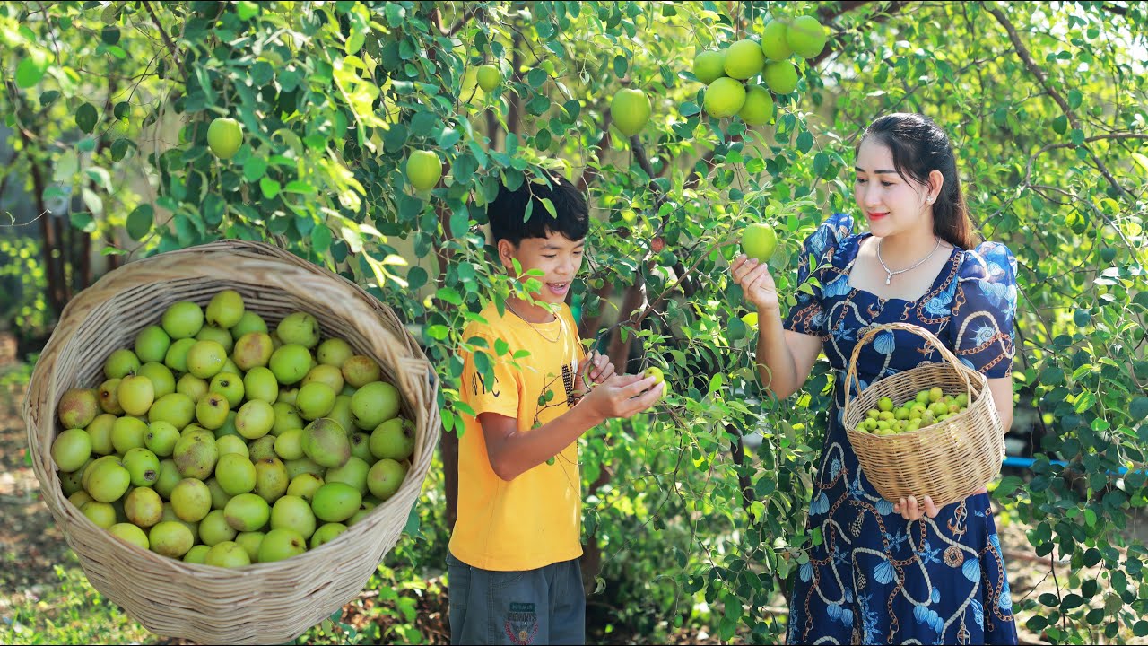 Sros yummy cooking vlogs: Crunchy and sweet Jujube fruit in my homeland | Marinate jujube and eat