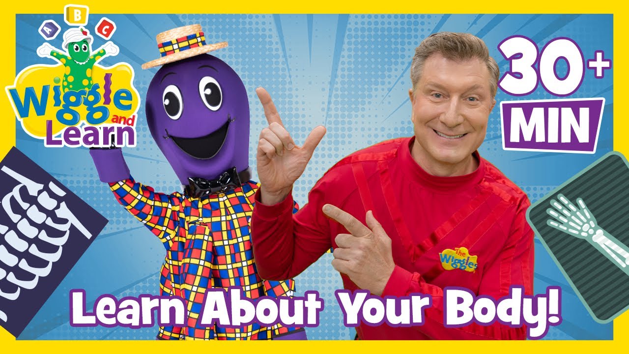 Learn About Your Body 🦵🧠👋🦴 Wiggle and Learn 📚 Educational Video for Toddlers with The Wiggles