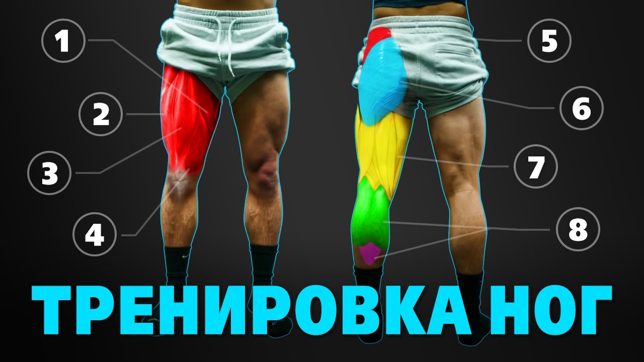 Тренировка НОГ. Упражнения для НОГ и ЯГОДИЦ. Сплит 