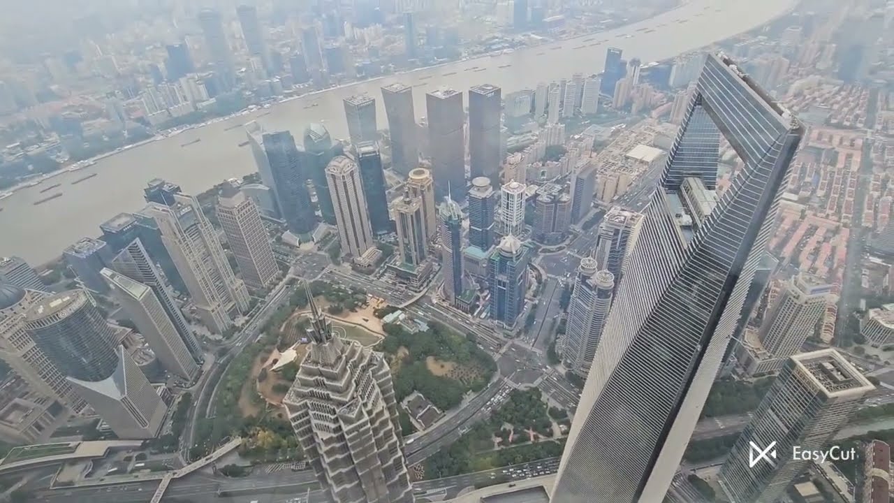 China 2025 - Day 13 - Shanghai tower and expo art