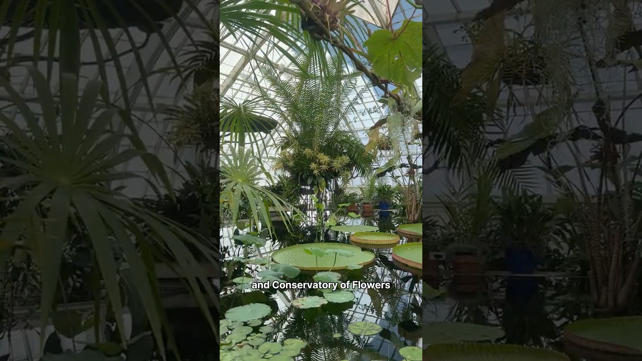 Plan Your Visit to Gardens of Golden Gate Park