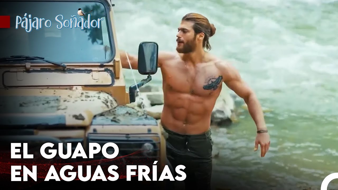 Es Imposible Tener Frío Con Can Divit - Pájaro Soñador