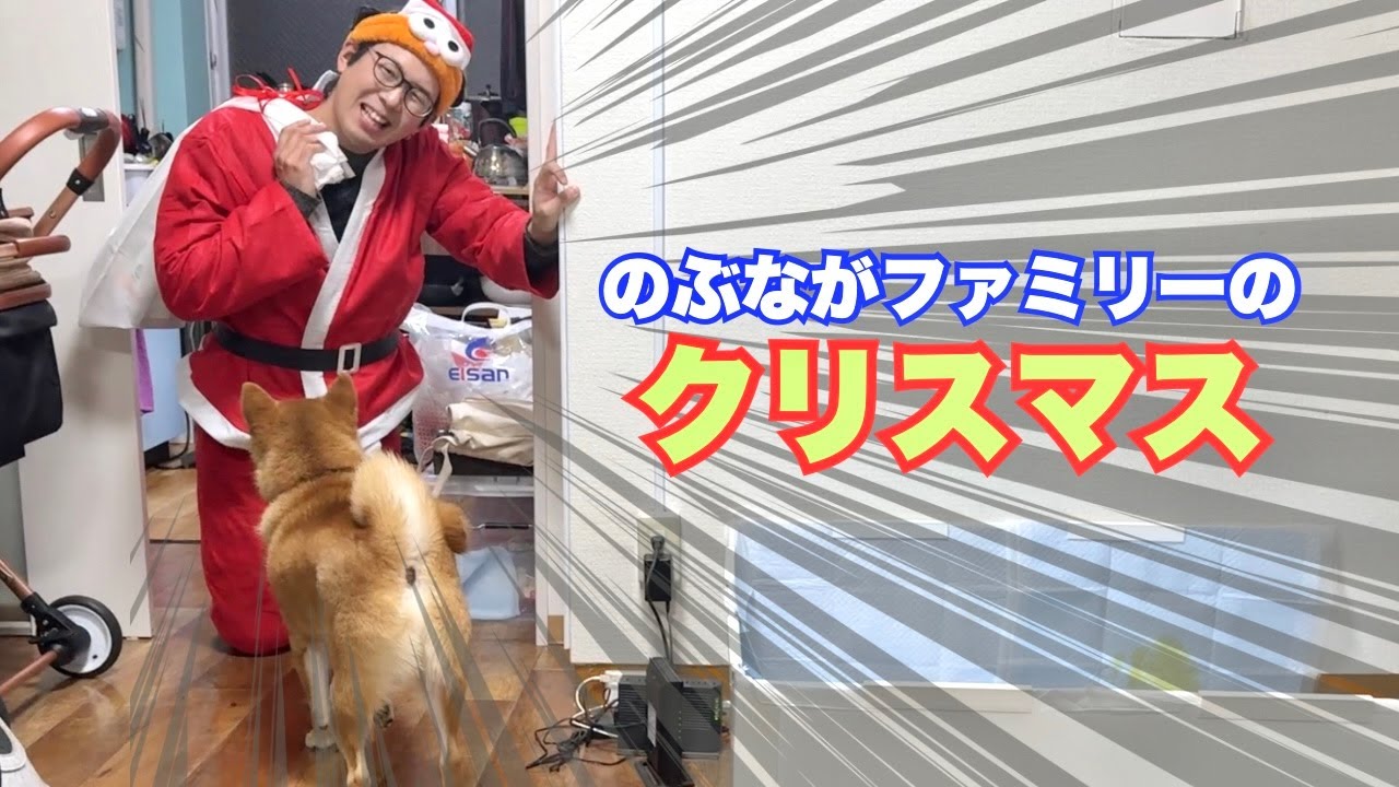 ぎっくり腰だけど愛犬の為にサンタになった主がこちら
