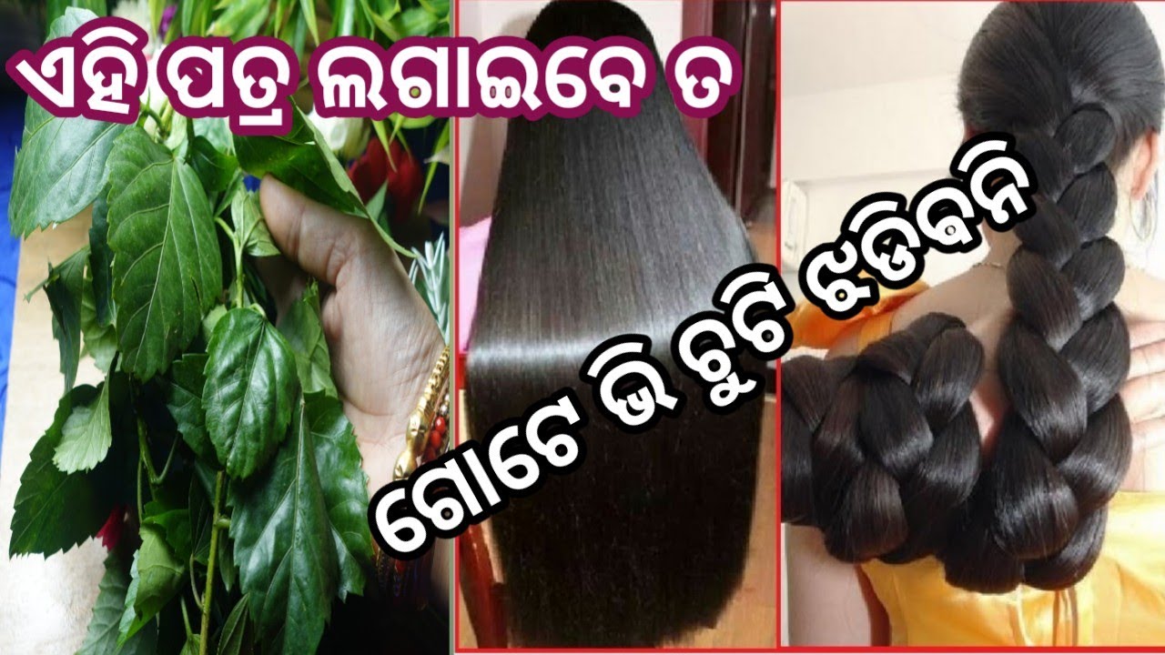 chuti jhadile kan kariba,hair fall solution odia,ଚୁଟି ଝଡିବା,chuti lamba heba,odia vlog,odia recipe