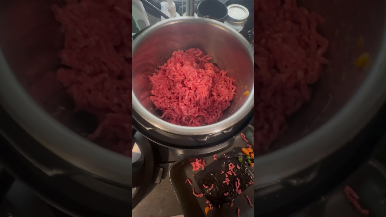 Homemade Dog Food #instantpot