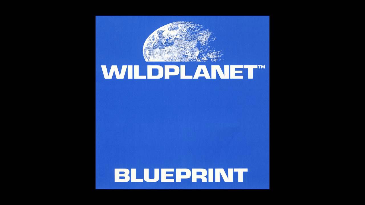 Wild Planet - Cabasa Cabasa