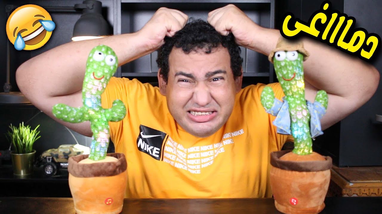 الصبارة الراقصة واختها جننونى ..دماغى هتضرب