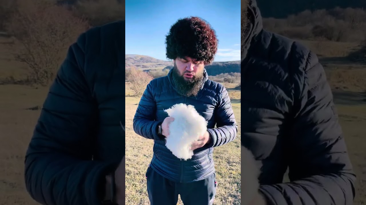 Как ухаживать за Папахой