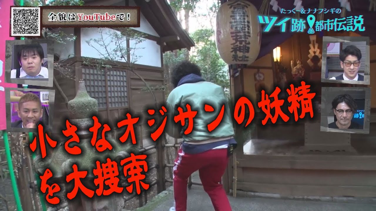 小さなオジサンの妖精の目撃情報をGET！その特徴が明らかに！【第8回地上波放送】