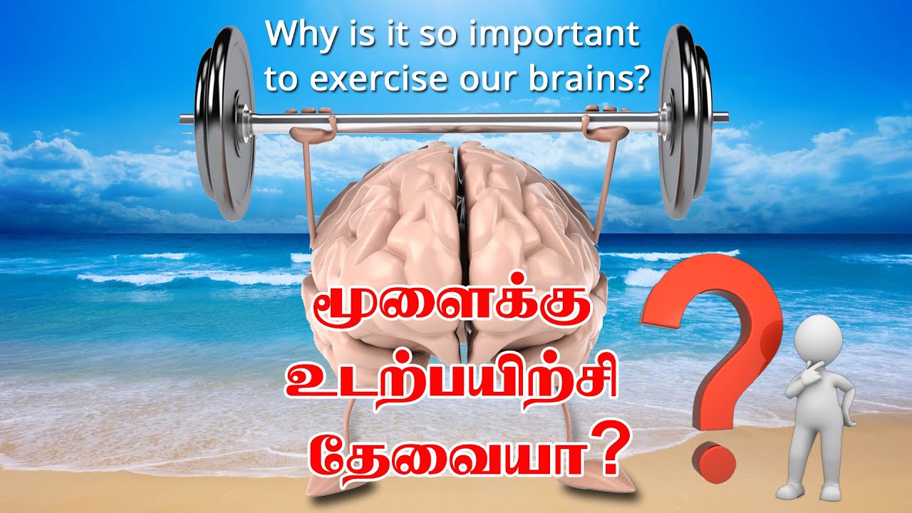 மூளைக்கு உடற்பயிற்சி அவசியமா? Why is it so important to exercise our brains?