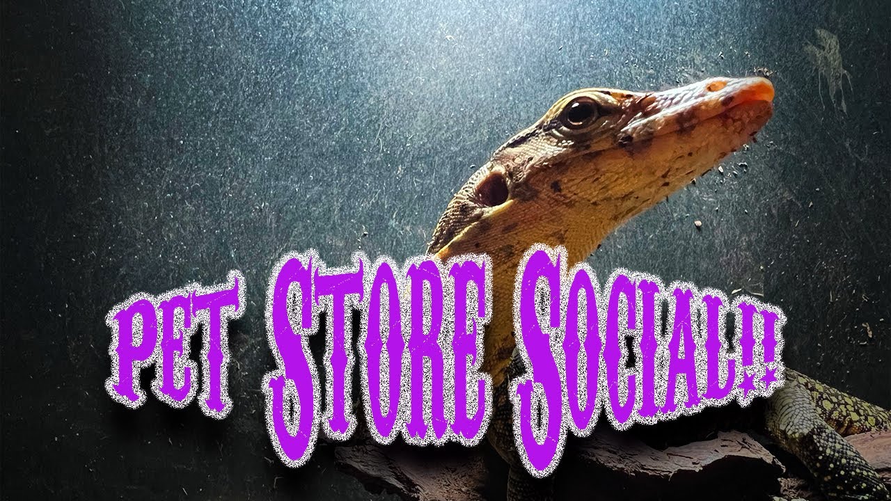 Taking Our Water Monitor To A Pet Store!