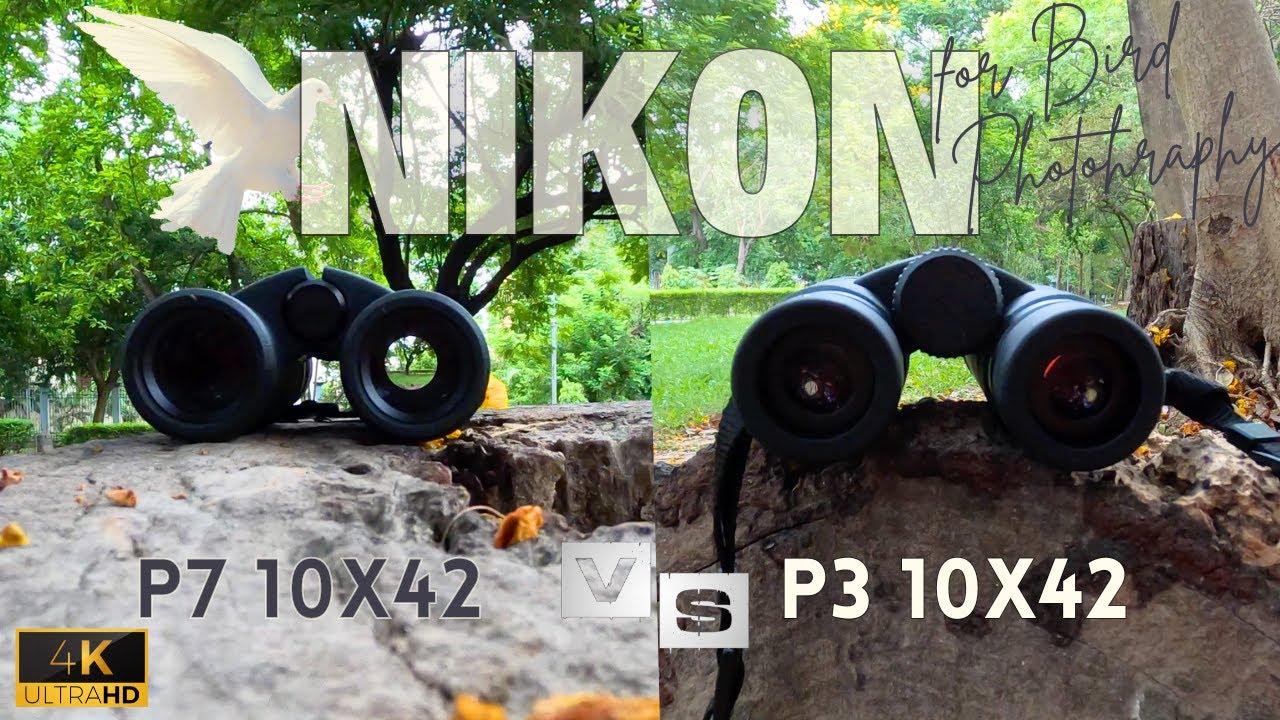 Nikon Prostaff P3 10X42 Vs. P7 10x42 | Bird Photography - Side by side Comparison