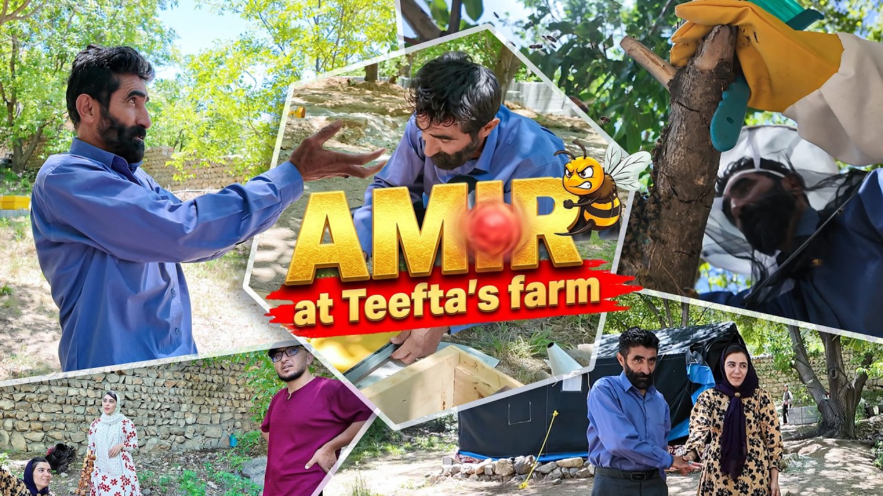 Amir Visited His Daughters ❤️ Then Climbed a Very Tall Walnut Tree for the Bees 🐝