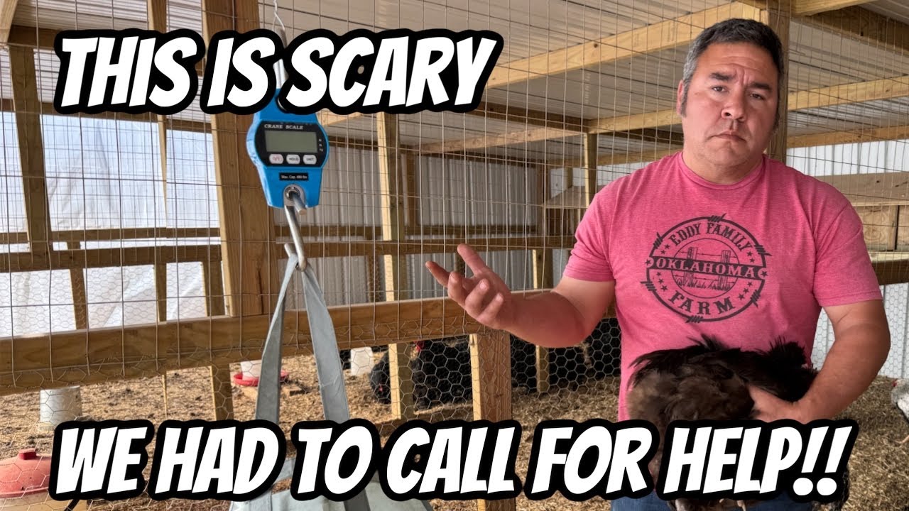 This Has Been My Biggest Fear!! They Could Be In Danger!!