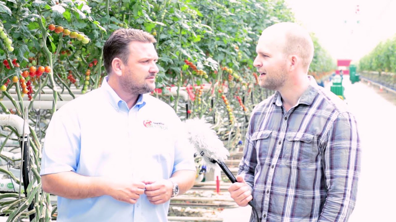 Tomatenanbau und Insekten | Sommertour 2015: Folge 5, 10.7.2015