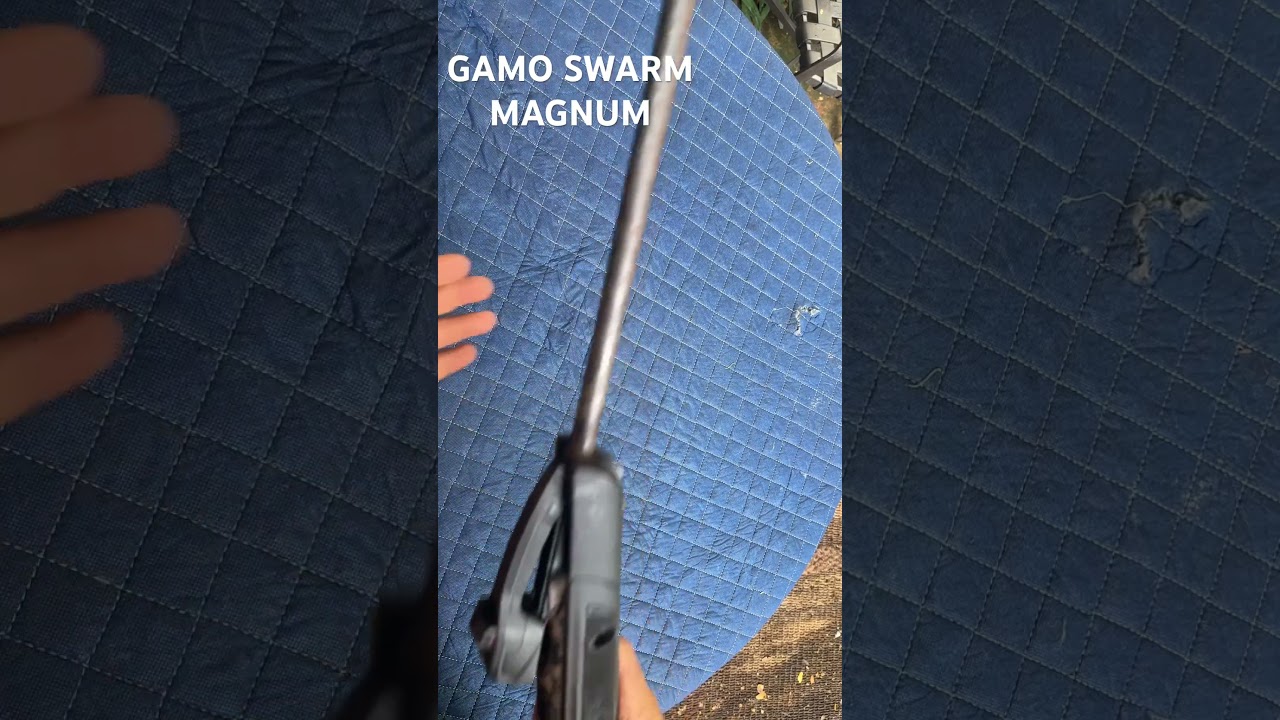 GAMO SWARM MAGNUM
