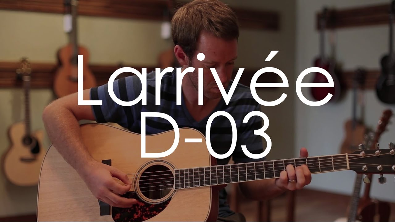 Larrivee D-03