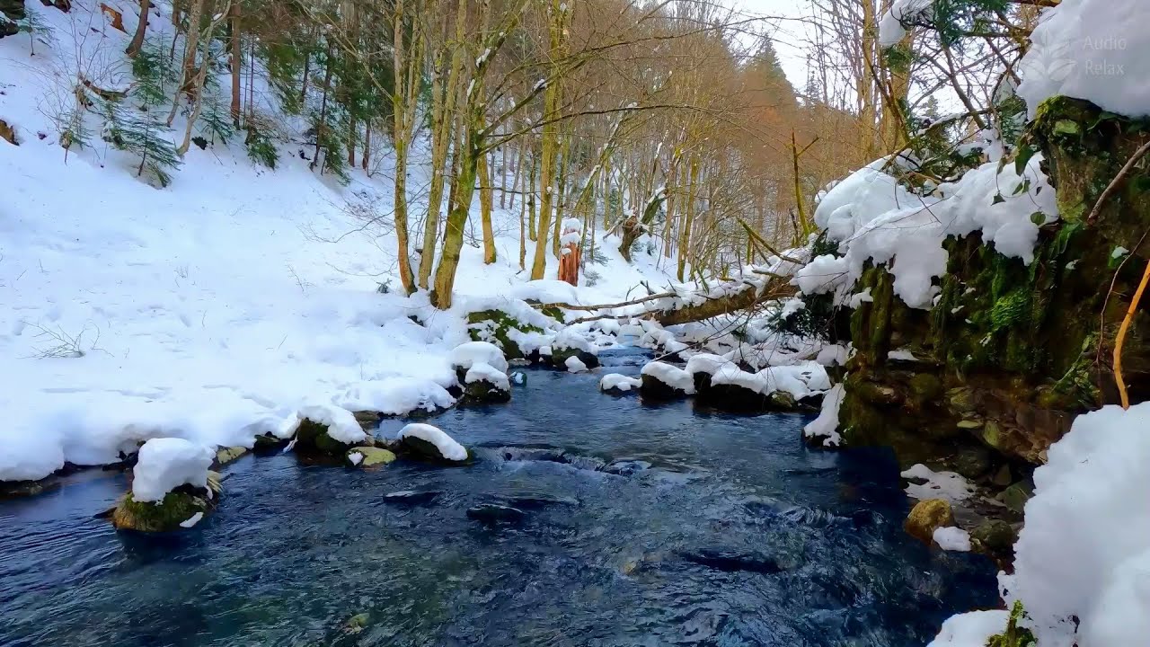 River Sounds in Snow-Covered Winter Forest | Nature White Noise