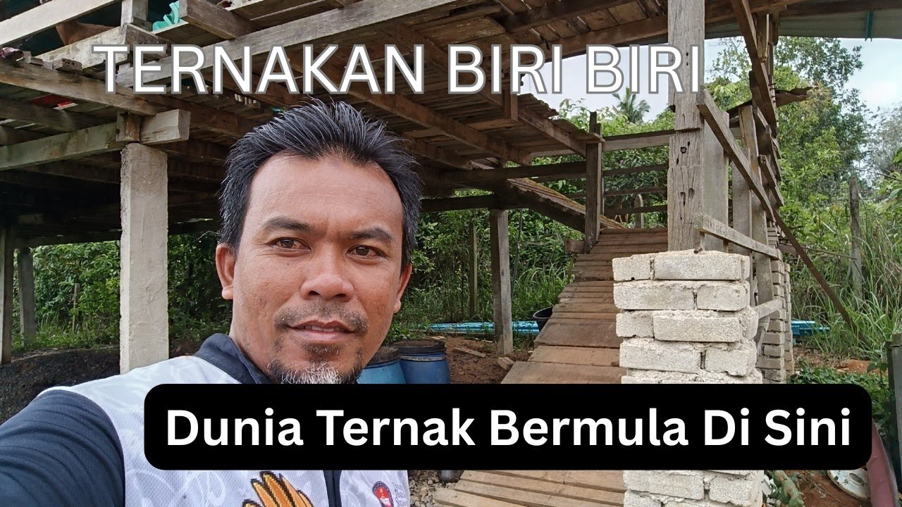 Ep 164: Ternakan Biri Biri Cikgu Tempur Terkini