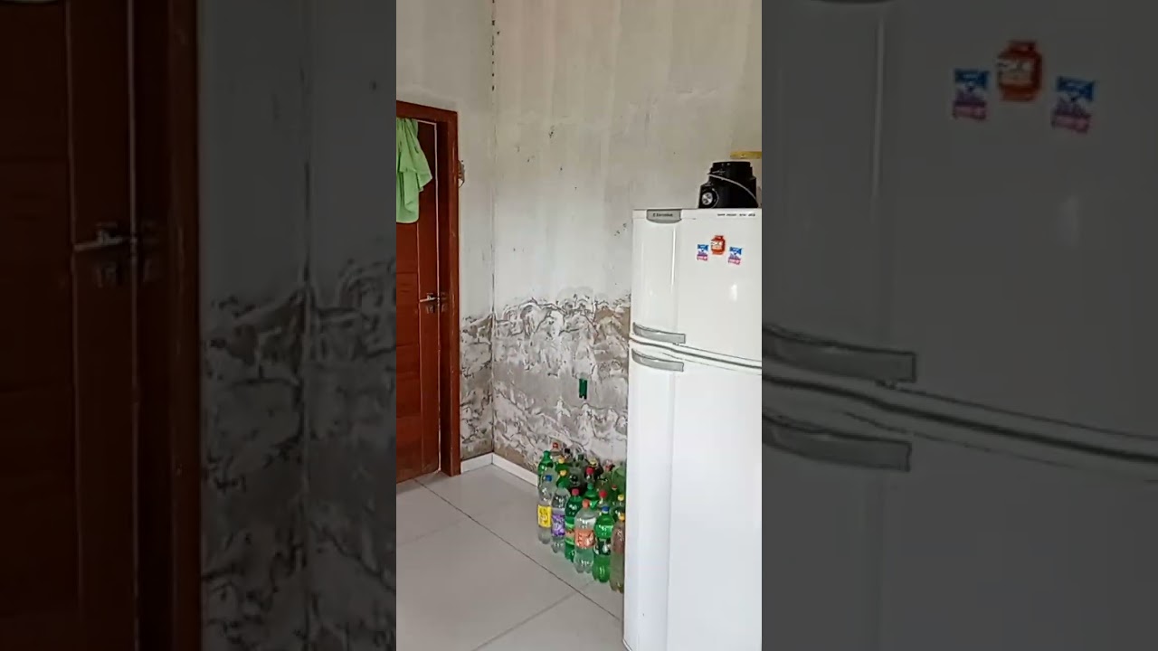 19 de fevereiro de 2026